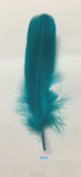 Goose Nagoire Feathers (loose) - AU