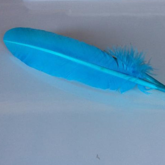 Turkey Wing Feathers  aqua 