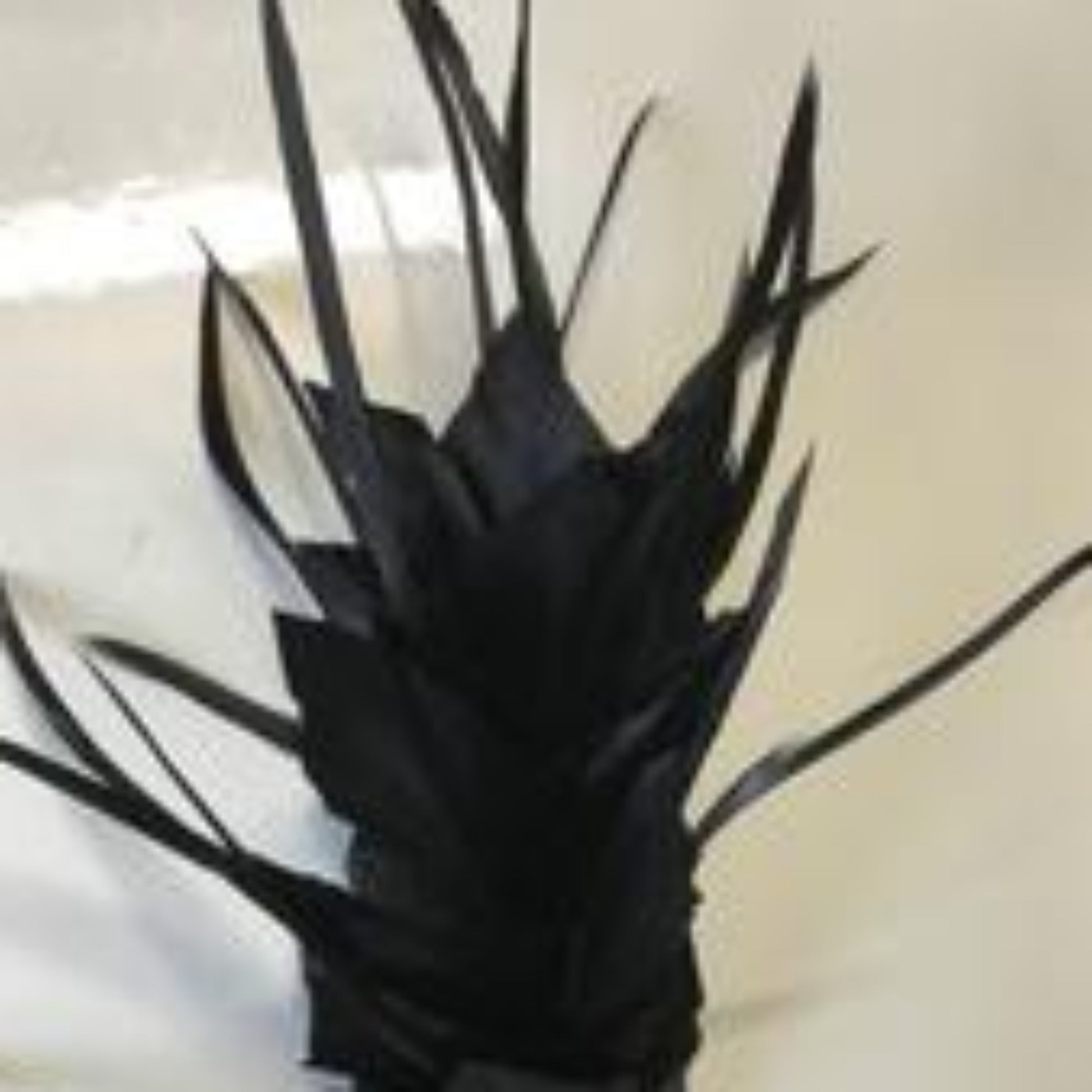 Feather Mounts (BY-FM306) - AU - B Unique Millinery