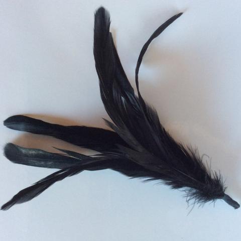 Coque Feathers - AU - B Unique Millinery