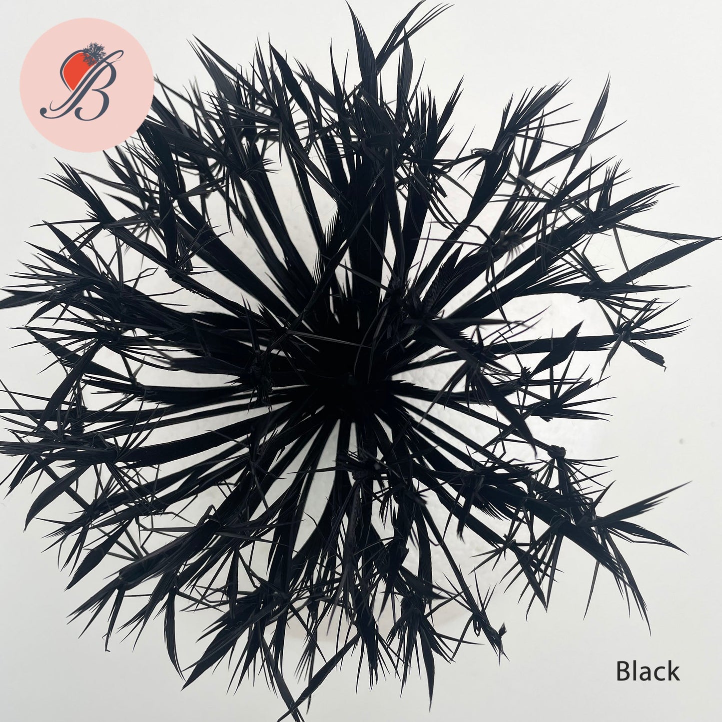 black Biot Feather Star Flower on Wire