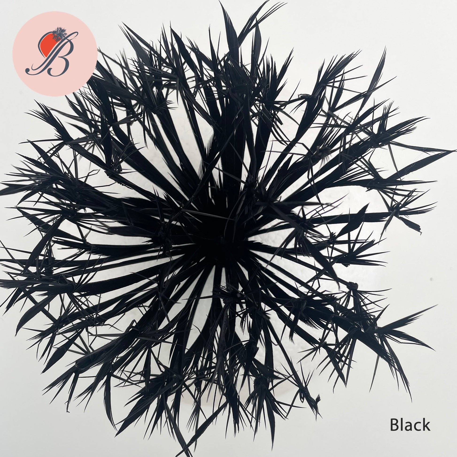 black Biot Feather Star Flower on Wire