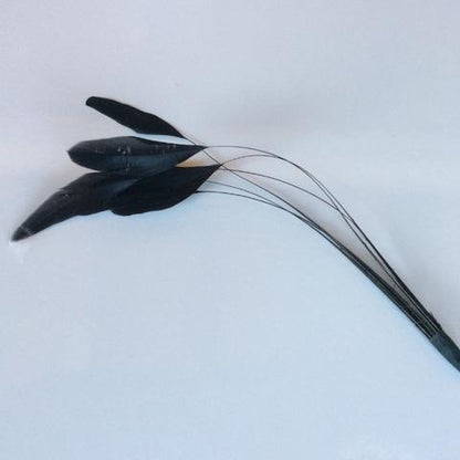Coque Feathers - AU - B Unique Millinery