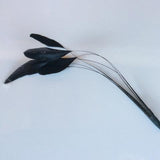 Coque Feathers - AU - B Unique Millinery