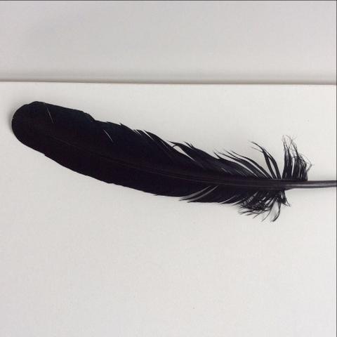 Turkey Wing Feathers  black