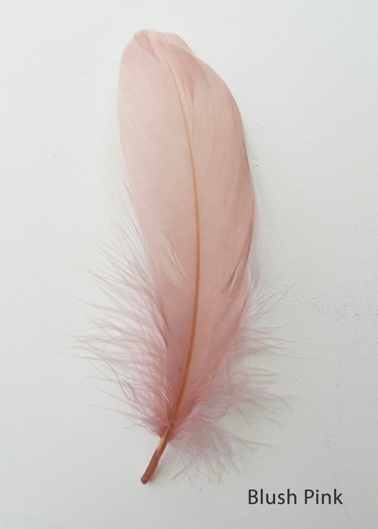 Goose Nagoire Feathers (loose) - UK