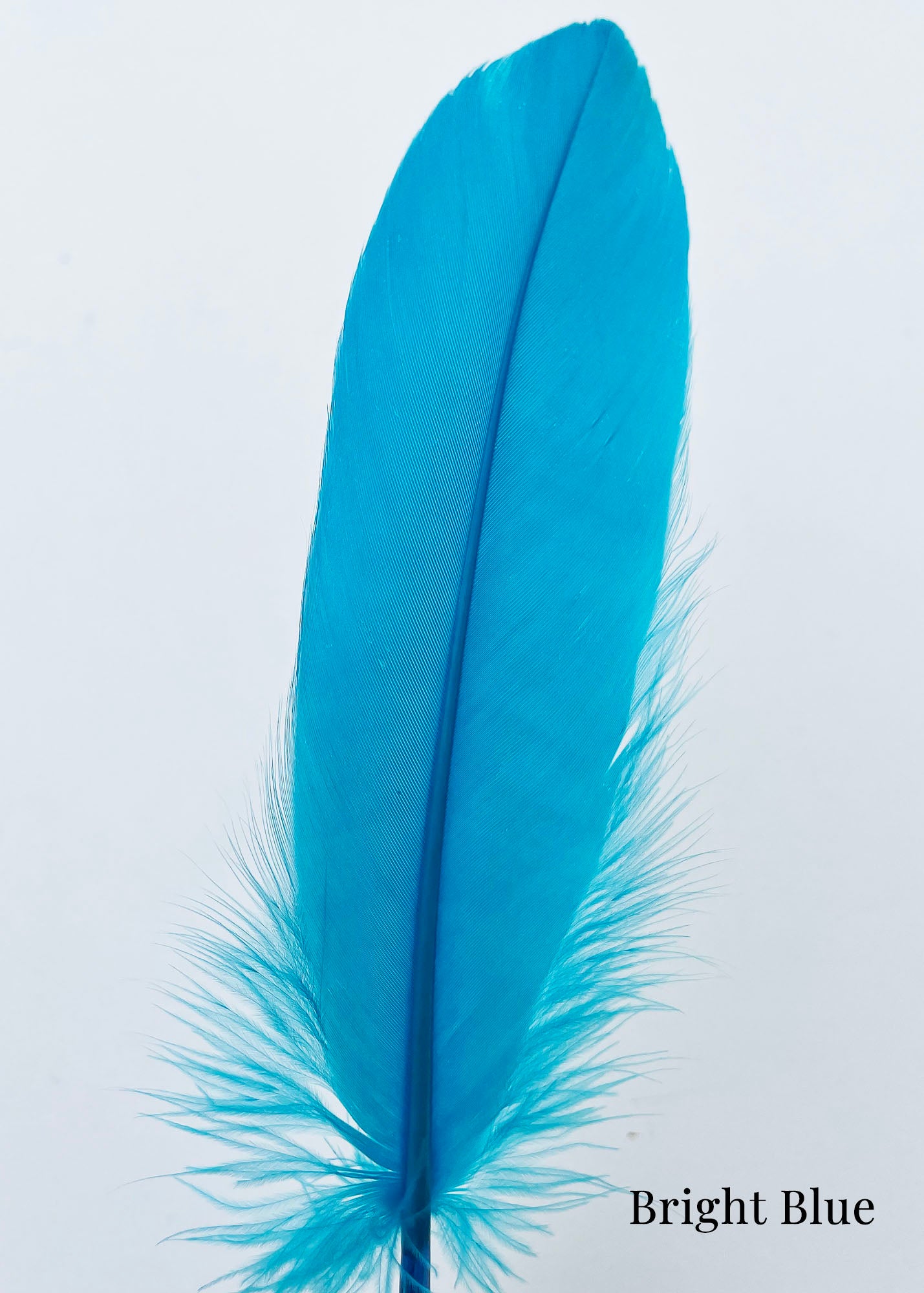 Goose Nagoire Feathers (loose) - UK