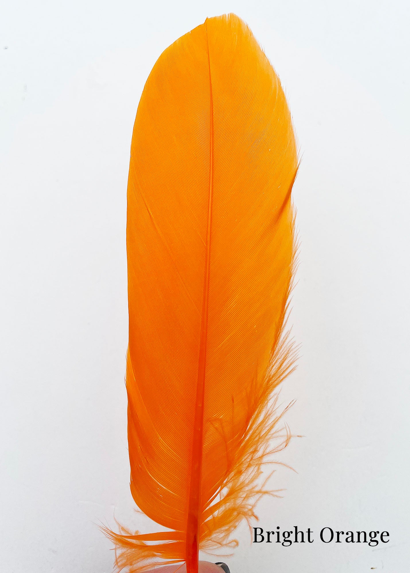 Goose Nagoire Feathers (loose) - UK