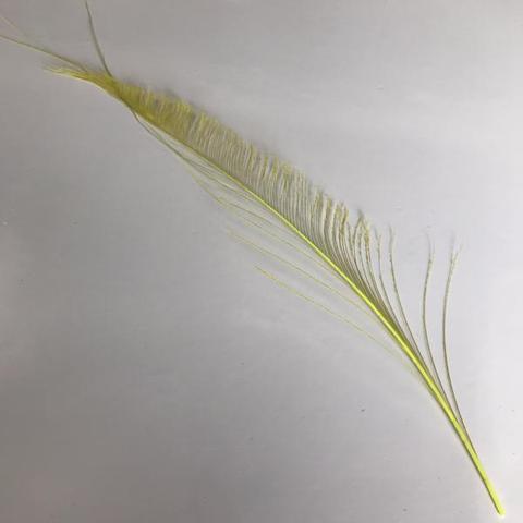 Dyed Peacock Sword [25-30cm] - AU - B Unique Millinery