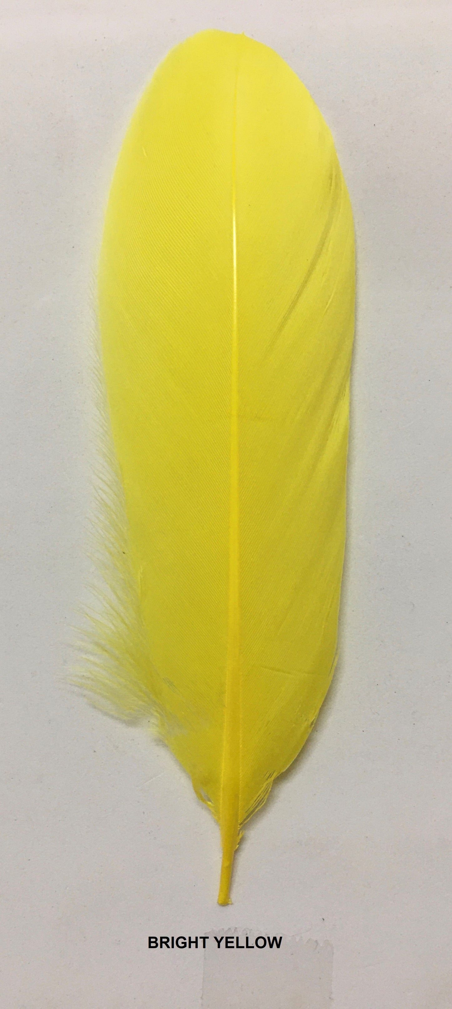 Goose Nagoire Feathers (loose) - AU