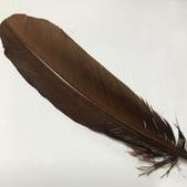 Turkey Wing Feathers  bronze