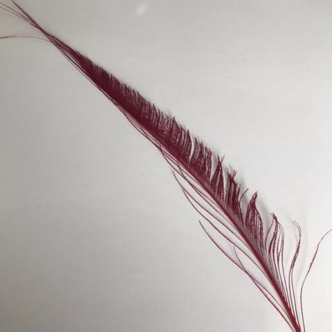 Dyed Peacock Sword [25-30cm] - AU - B Unique Millinery