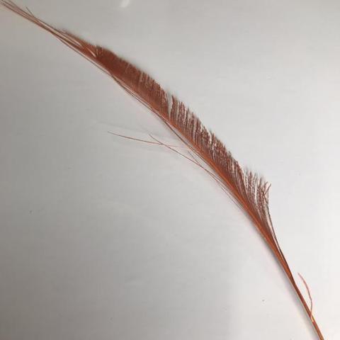 Dyed Peacock Sword [25-30cm] - AU - B Unique Millinery