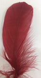 Goose Nagoire Feathers (loose) - US - B Unique Millinery
