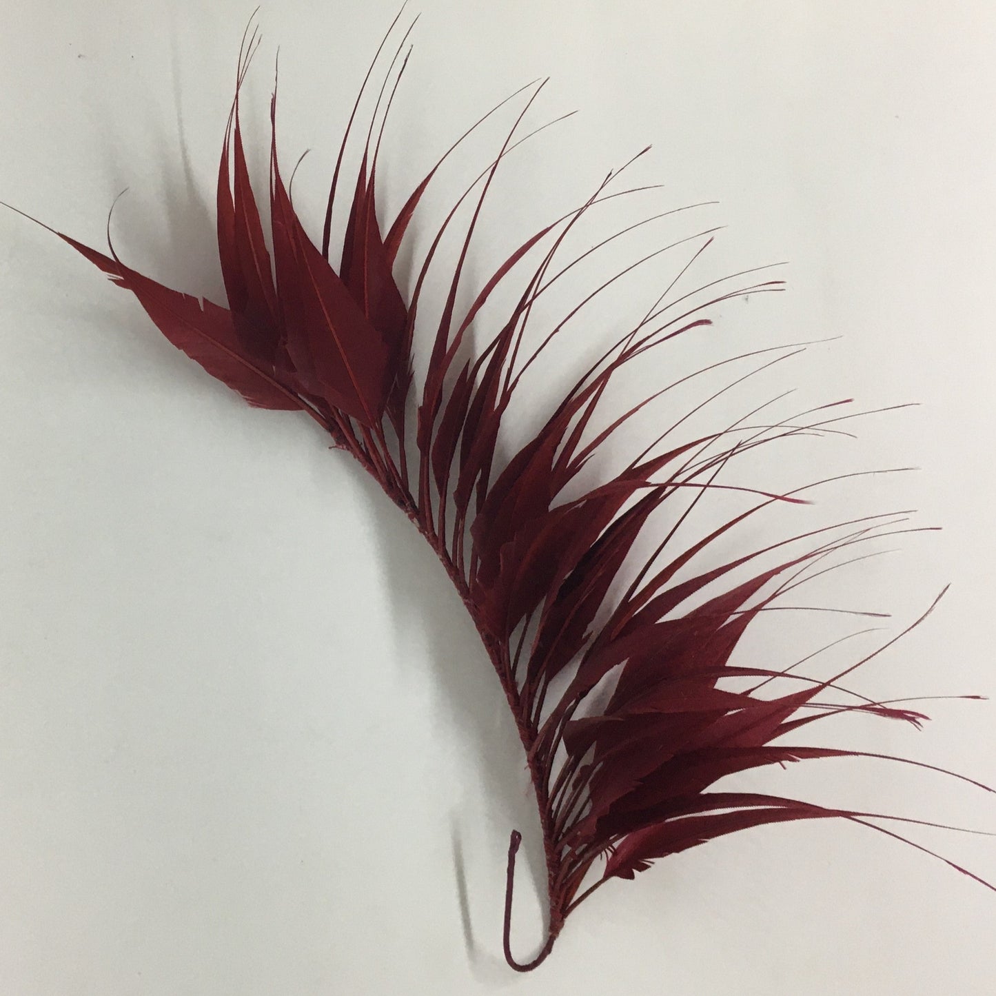 Spikey Feather Mounts (F201501) chilli pepper