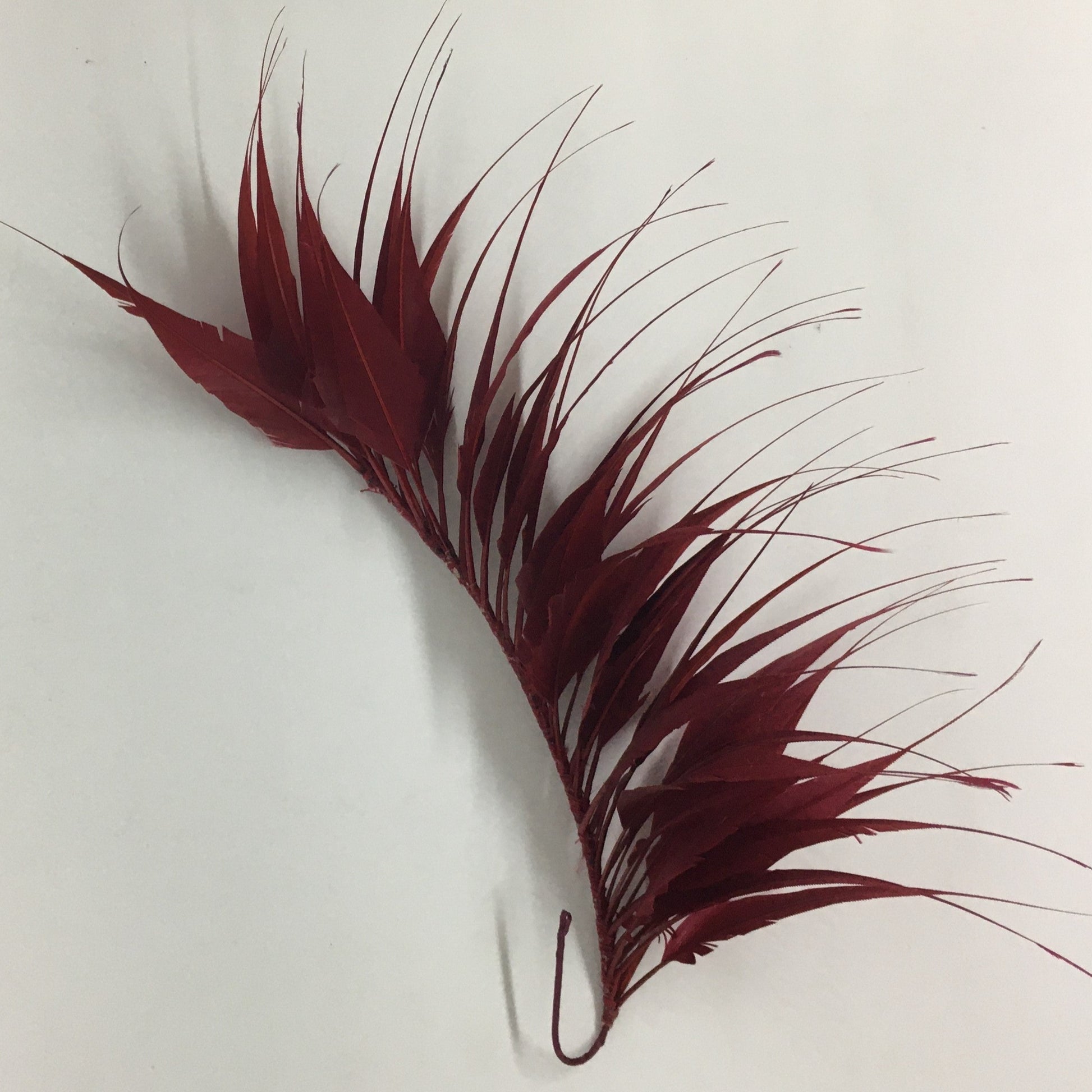 Spikey Feather Mounts (F201501) chilli pepper