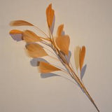Feather Branch - AU - B Unique Millinery