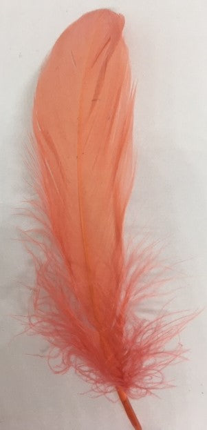 Goose Nagoire Feathers (loose) - US - B Unique Millinery