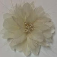 Feather Flower with Peacock Fringes (EF1097) cream