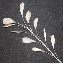 Feather Branch - AU - B Unique Millinery