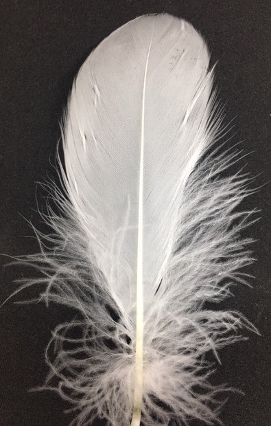 Goose Nagoire Feathers (loose) - US - B Unique Millinery