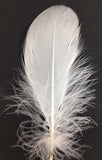 Goose Nagoire Feathers (loose) - US - B Unique Millinery