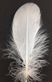 Goose Nagoire Feathers (loose) - AU - B Unique Millinery