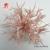 Biot Feather Starburst on Wire - AU