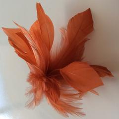 Feather Mounts (0412) - AU - B Unique Millinery