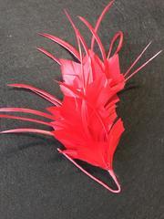 Feather Mounts (BY-FM306) - AU - B Unique Millinery
