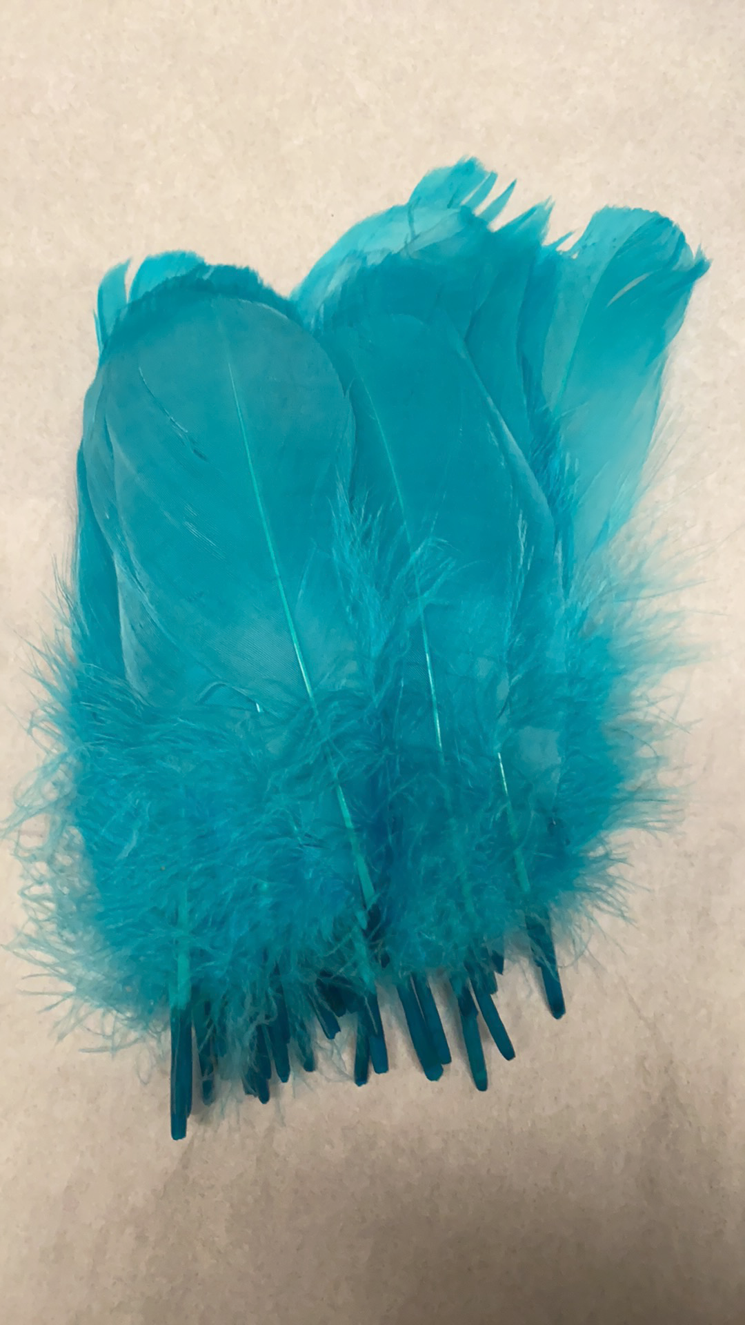 Goose Nagoire Feathers (loose) - US