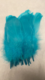 Goose Nagoire Feathers (loose) - US