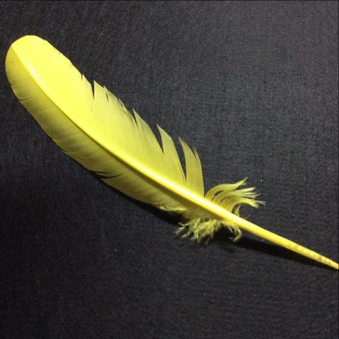 Turkey Wing Feathers  gold