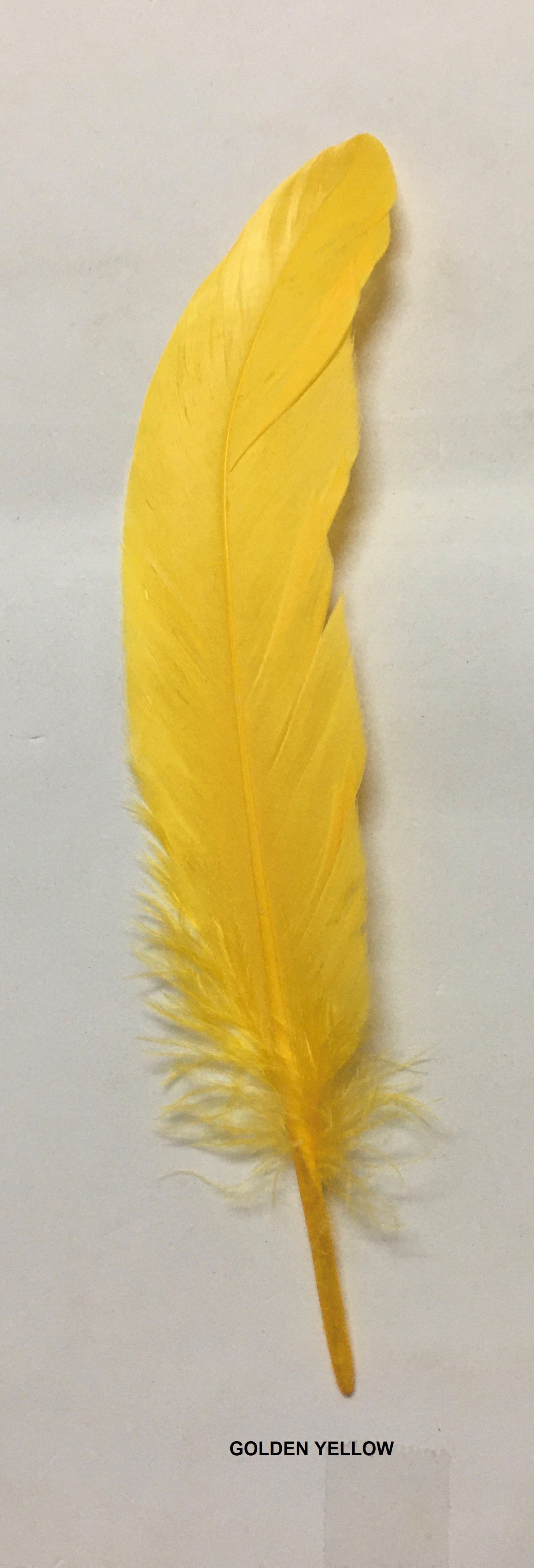 Goose Nagoire Feathers (loose) - AU