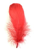 Goose Nagoire Feathers (loose) - US - B Unique Millinery