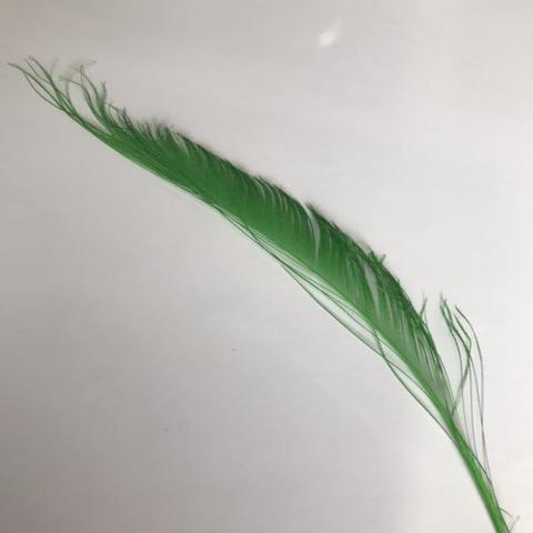 Dyed Peacock Sword [25-30cm] - AU - B Unique Millinery