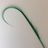Curly Burnt Pheasant Feathers - US - B Unique Millinery