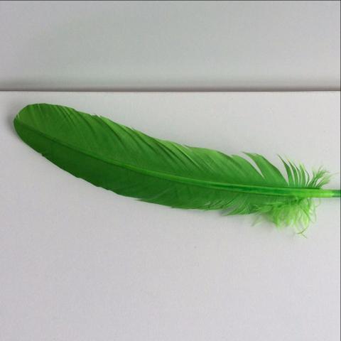 Turkey Wing Feathers  green