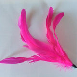 Coque Feathers - AU - B Unique Millinery