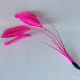 Coque Feathers - AU - B Unique Millinery