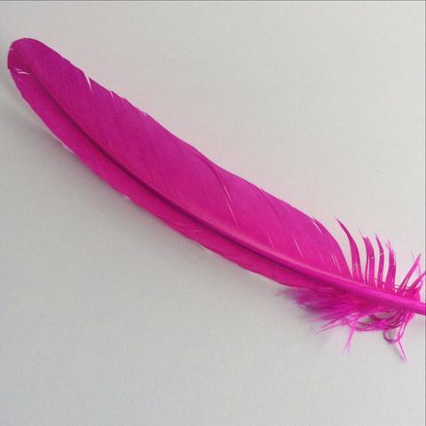 Turkey Wing Feathers hot pink