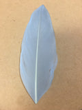 Goose Nagoire Feather Tips - AU