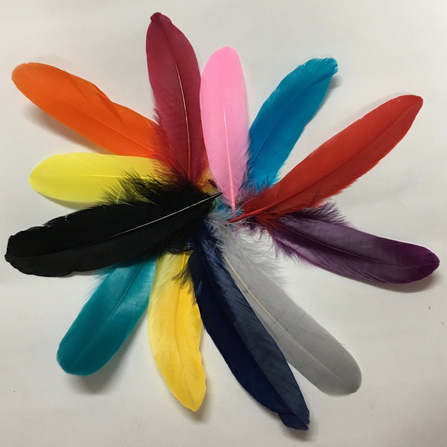 Goose Nagoire Feathers (loose) - US