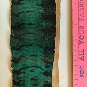 Natural Snake Skin Leather - CA