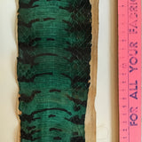 Natural Snake Skin Leather - CA