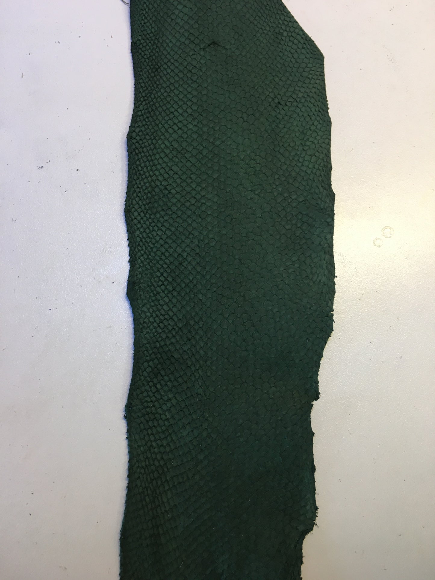 Salmon Fish Leather Piece - AU