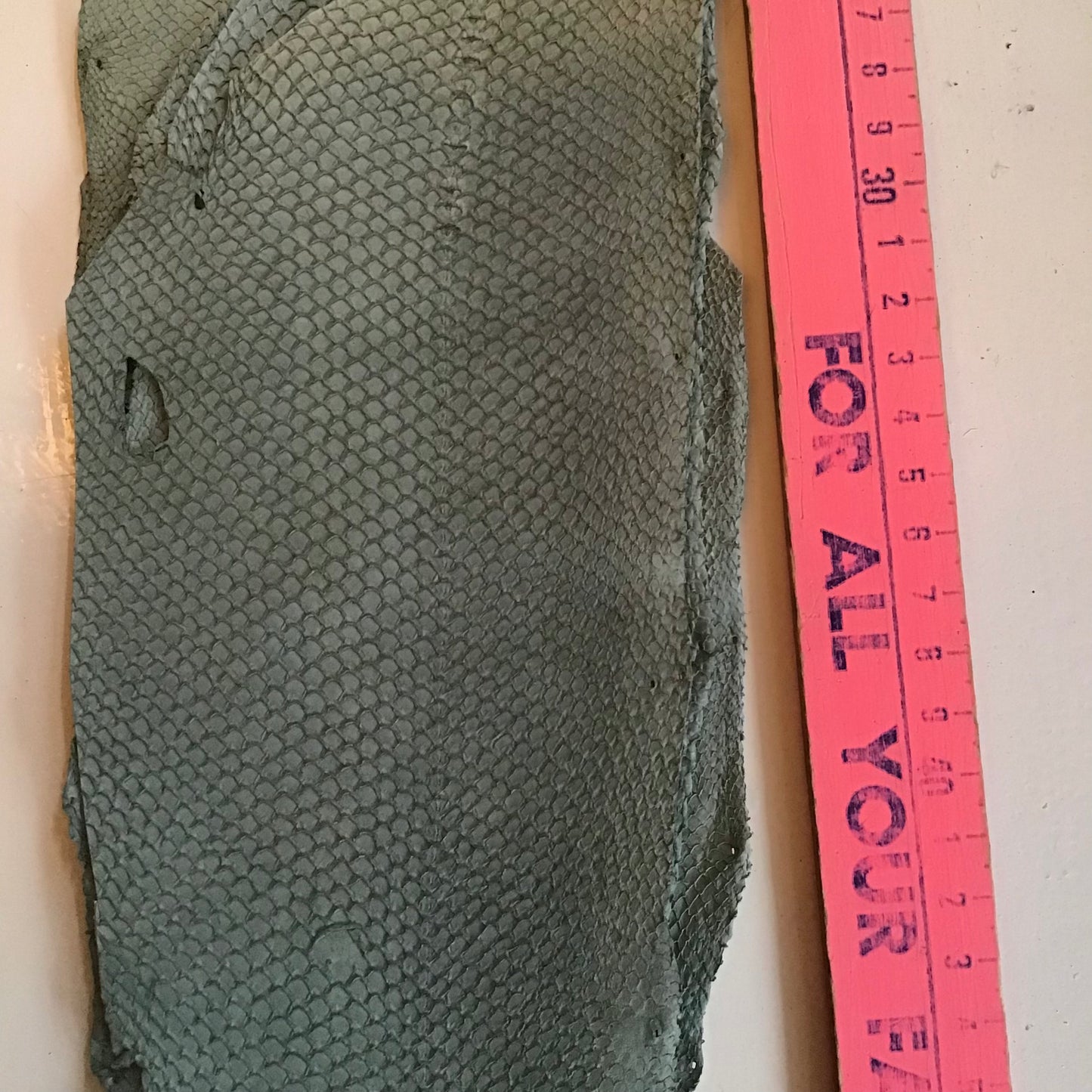 Leather: Salmon Fish - CA