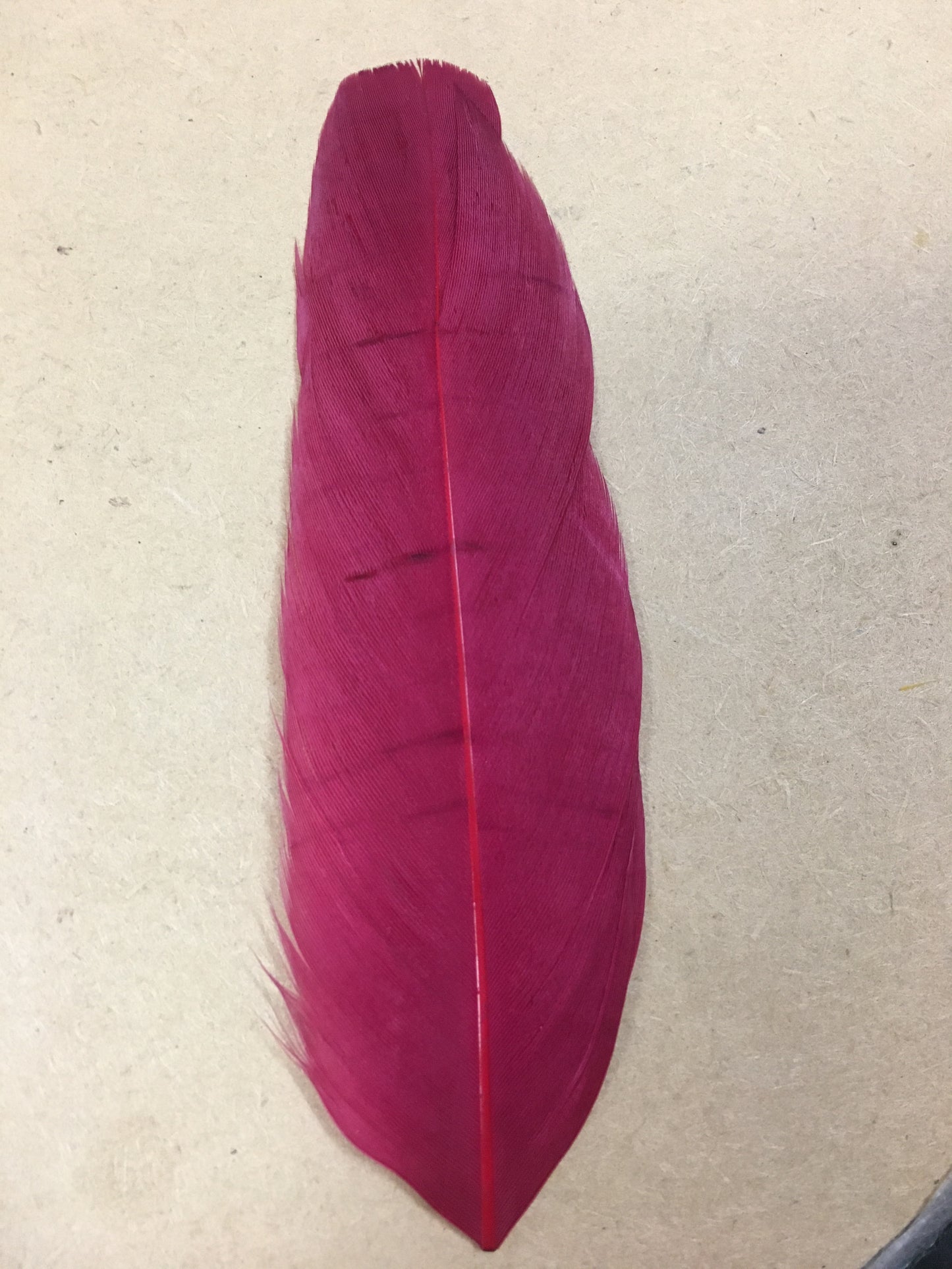 chilli pepper goose nagoire feather tip