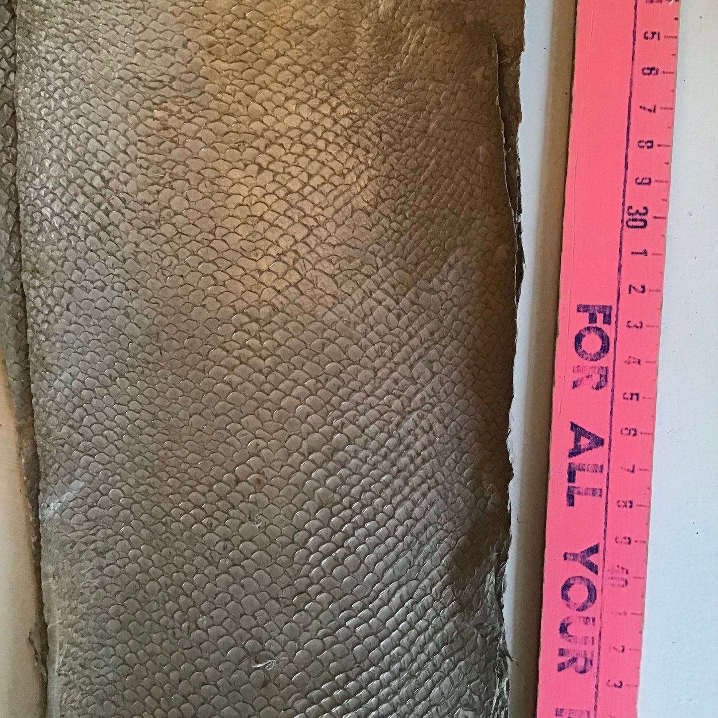 Leather: Salmon Fish - CA
