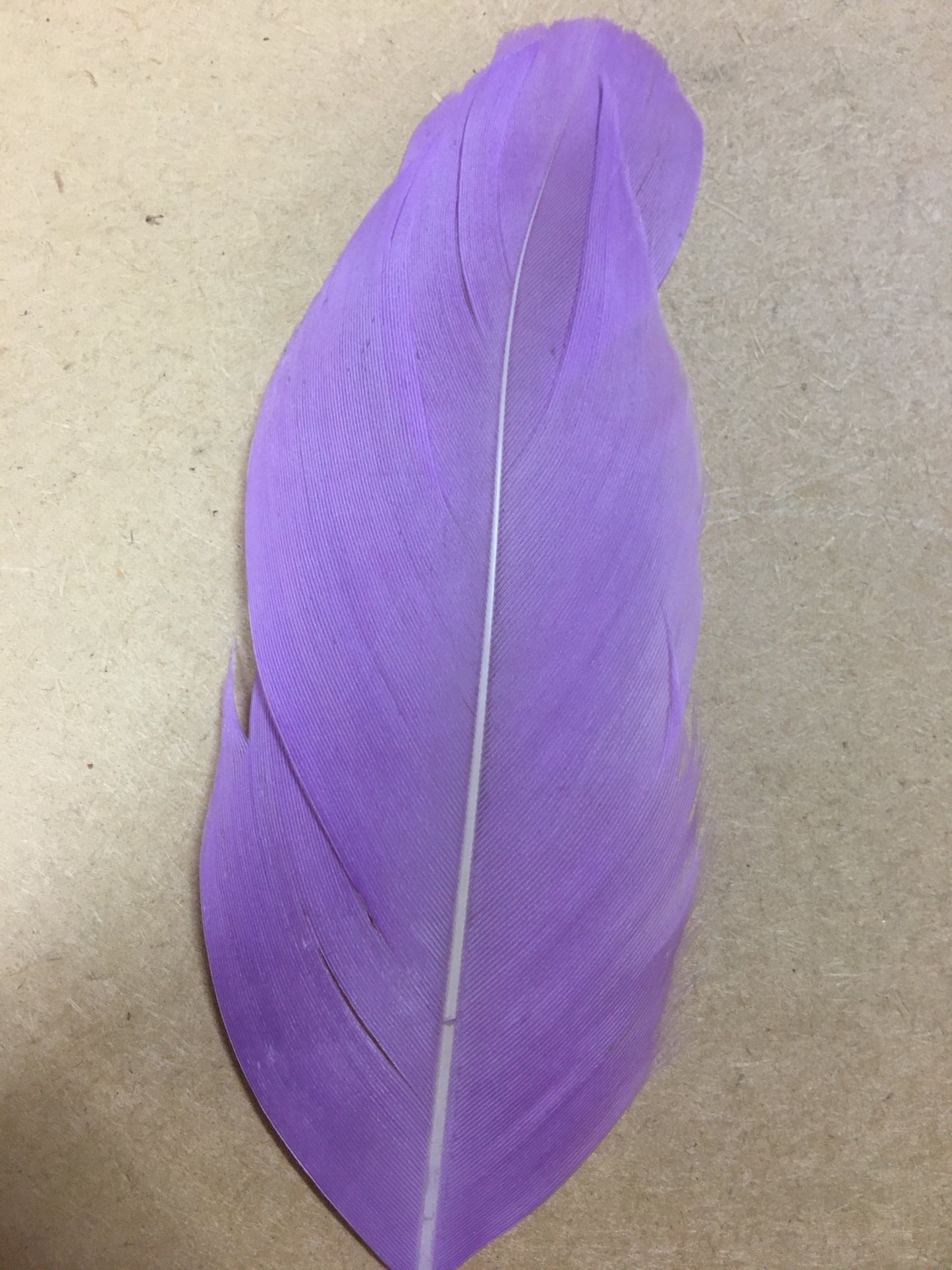 lilac goose nagoire feather tip